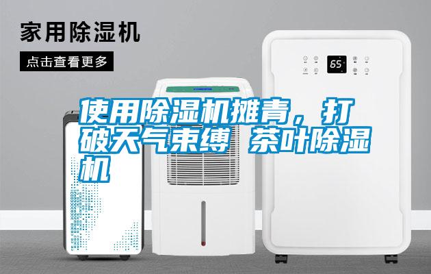 使用除濕機攤青，打破天氣束縛 茶葉除濕機