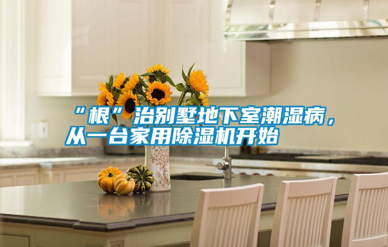 “根”治別墅地下室潮濕病，從一臺家用除濕機開始