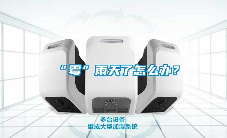 “霉”雨天了怎么辦？