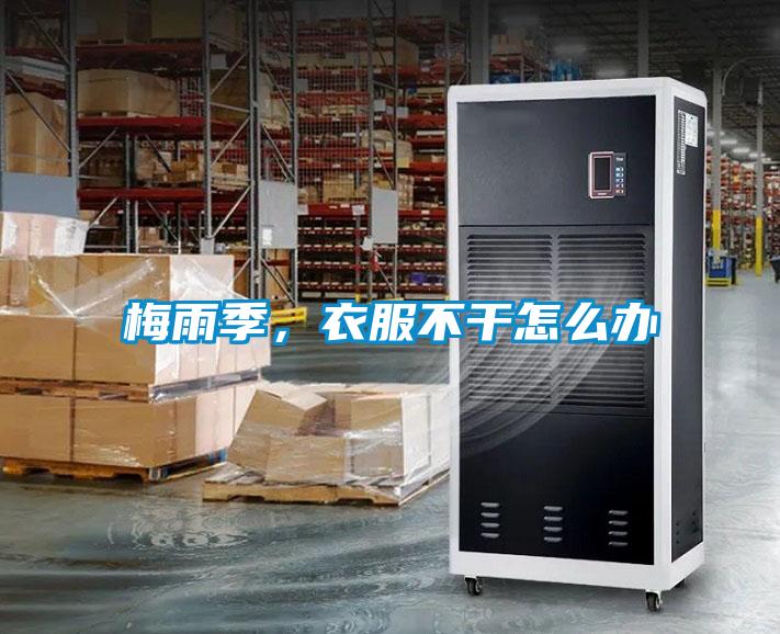 梅雨季，衣服不干怎么辦