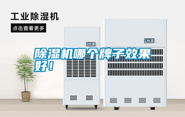 除濕機哪個牌子效果好！