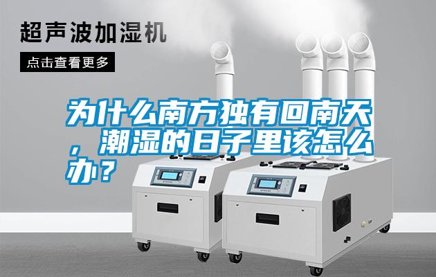 為什么南方獨(dú)有回南天，潮濕的日子里該怎么辦？