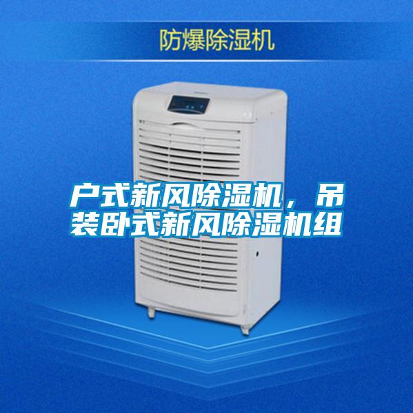 戶式新風(fēng)除濕機(jī)，吊裝臥式新風(fēng)除濕機(jī)組