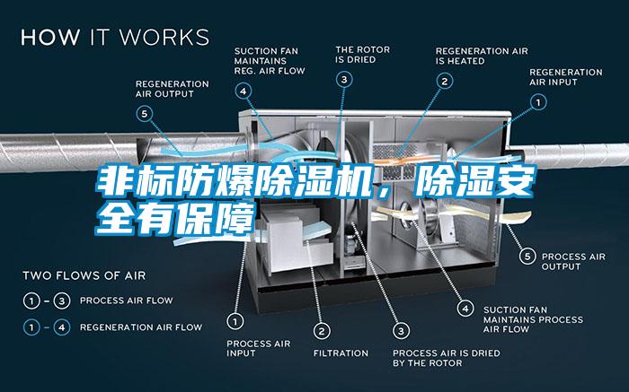 非標防爆除濕機，除濕安全有保障
