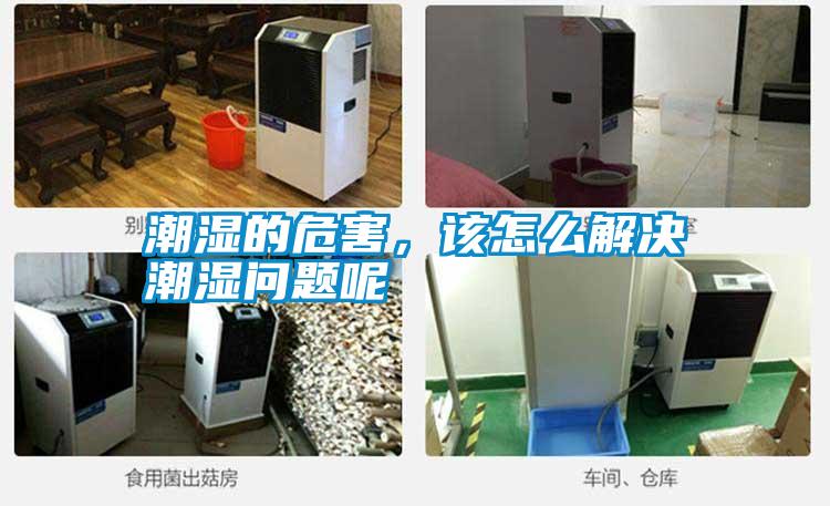潮濕的危害，該怎么解決潮濕問題呢