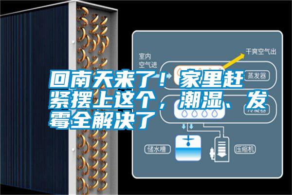 回南天來了！家里趕緊擺上這個，潮濕、發(fā)霉全解決了