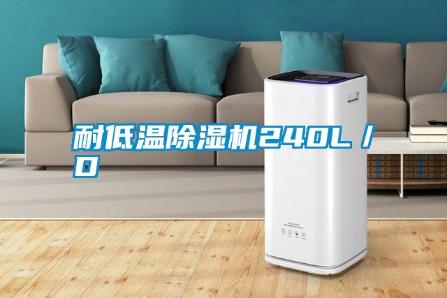 耐低溫除濕機(jī)240L/D