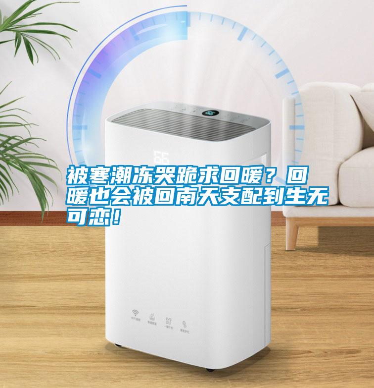 被寒潮凍哭跪求回暖？回暖也會被回南天支配到生無可戀！