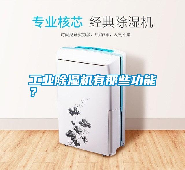 工業(yè)除濕機有那些功能？