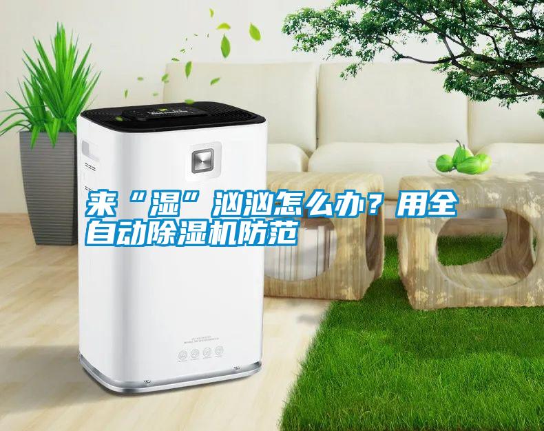 來“濕”洶洶怎么辦?用全自動(dòng)除濕機(jī)防范