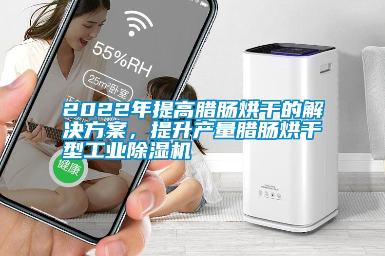 2022年提高臘腸烘干的解決方案，提升產量臘腸烘干型工業(yè)除濕機