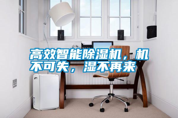 高效智能除濕機(jī)，機(jī)不可失，濕不再來