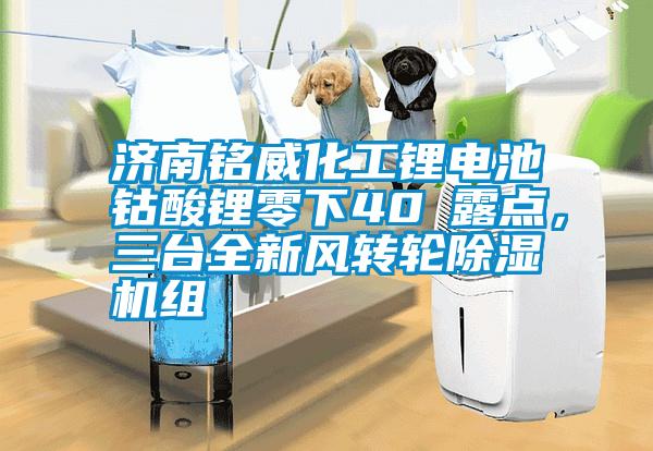 濟南銘威化工鋰電池鈷酸鋰零下40℃露點，三臺全新風轉(zhuǎn)輪除濕機組