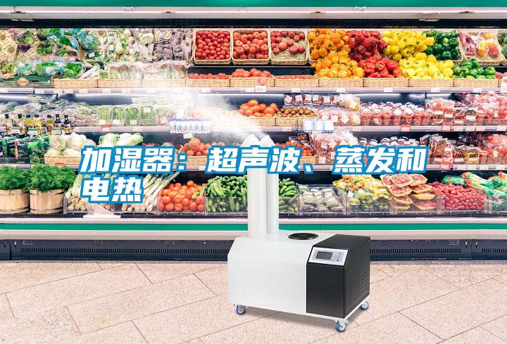 加濕器：超聲波、蒸發(fā)和電熱