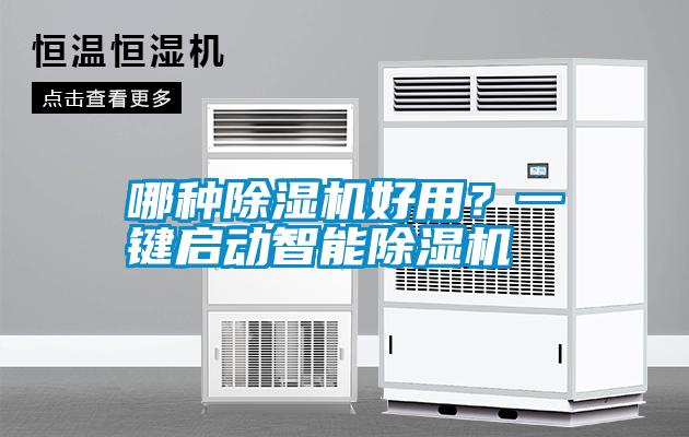 哪種除濕機好用？一鍵啟動智能除濕機