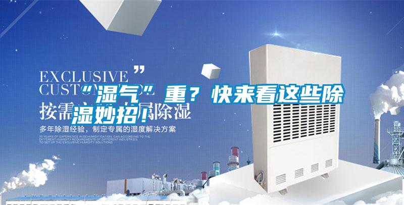 “濕氣”重？快來看這些除濕妙招！