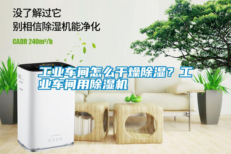 工業(yè)車間怎么干燥除濕？工業(yè)車間用除濕機(jī)