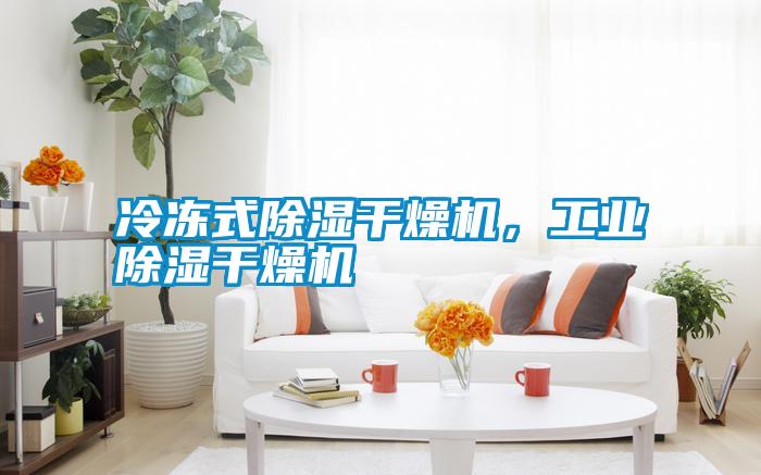 冷凍式除濕干燥機，工業(yè)除濕干燥機