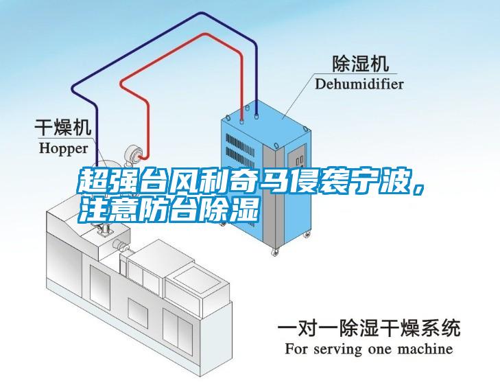 超強(qiáng)臺風(fēng)利奇馬侵襲寧波，注意防臺除濕