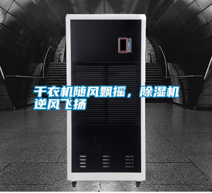 干衣機隨風(fēng)飄搖，除濕機逆風(fēng)飛揚