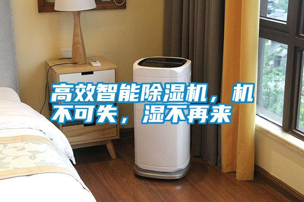 高效智能除濕機(jī)，機(jī)不可失，濕不再來
