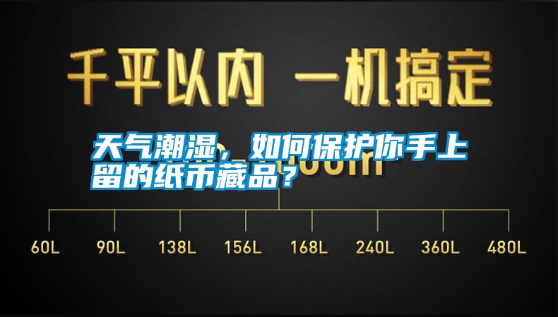 天氣潮濕，如何保護你手上留的紙幣藏品？