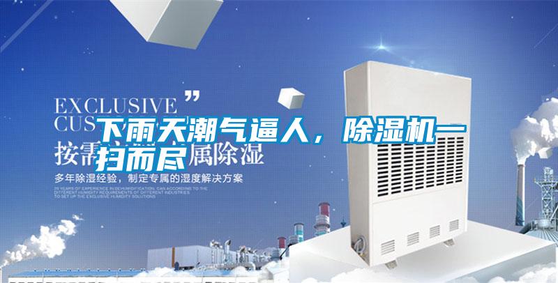 下雨天潮氣逼人，除濕機(jī)一掃而盡