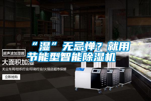 “濕”無忌憚？就用節(jié)能型智能除濕機