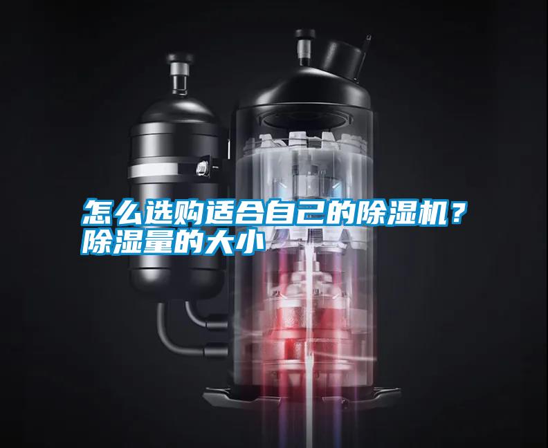 怎么選購適合自己的除濕機(jī)？除濕量的大小