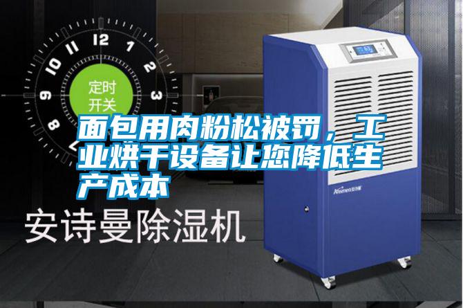 面包用肉粉松被罰，工業(yè)烘干設(shè)備讓您降低生產(chǎn)成本