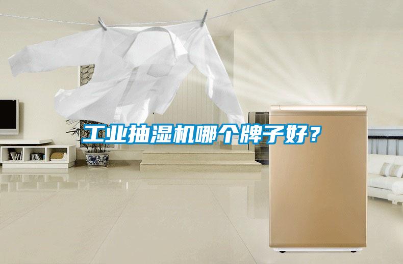 工業(yè)抽濕機哪個牌子好？