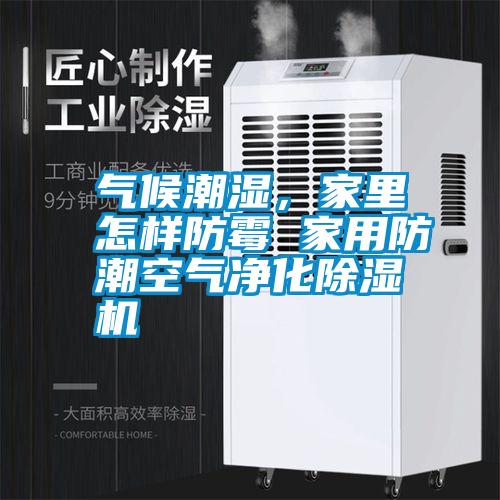 氣候潮濕，家里怎樣防霉 家用防潮空氣凈化除濕機(jī)