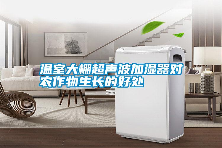 溫室大棚超聲波加濕器對(duì)農(nóng)作物生長的好處