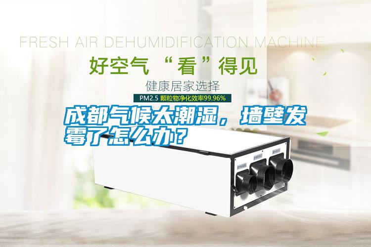 成都氣候太潮濕，墻壁發(fā)霉了怎么辦？