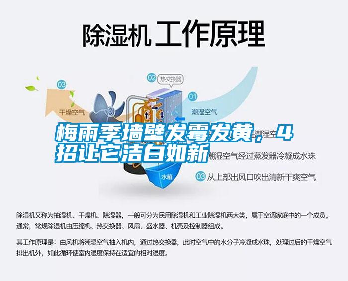 梅雨季墻壁發(fā)霉發(fā)黃，4招讓它潔白如新