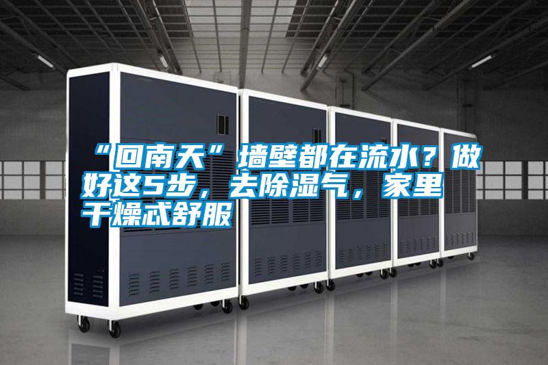 “回南天”墻壁都在流水？做好這5步，去除濕氣，家里干燥忒舒服