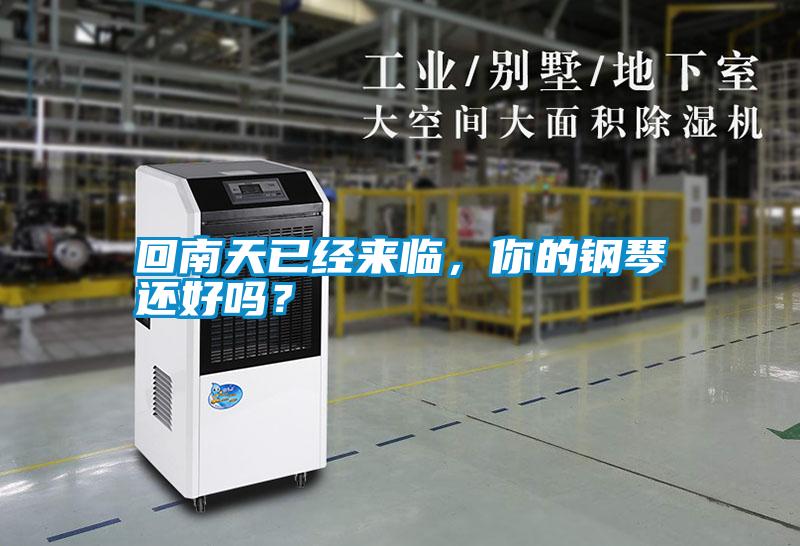 回南天已經(jīng)來(lái)臨，你的鋼琴還好嗎？