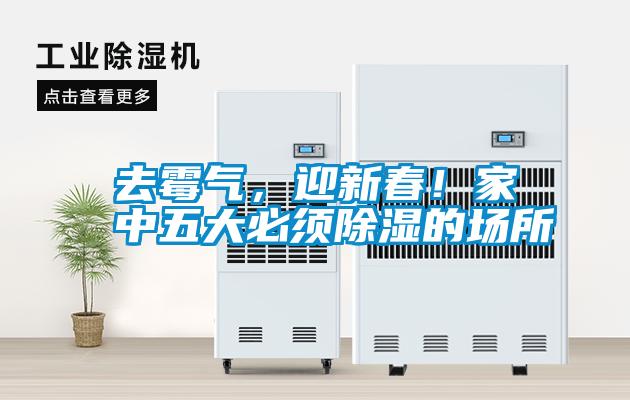 去霉氣，迎新春！家中五大必須除濕的場所