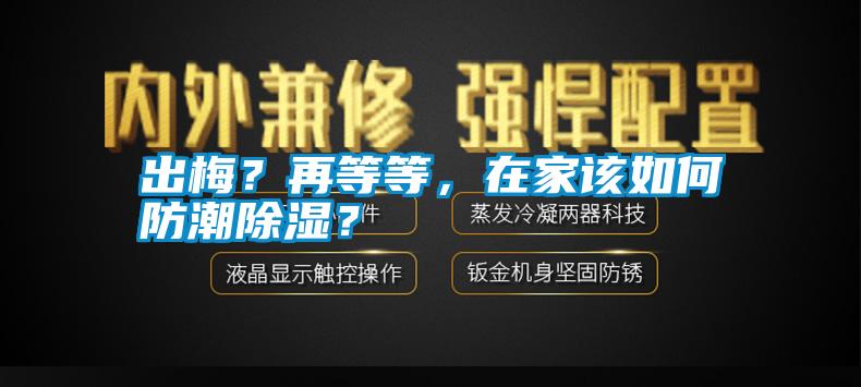 出梅？再等等，在家該如何防潮除濕？