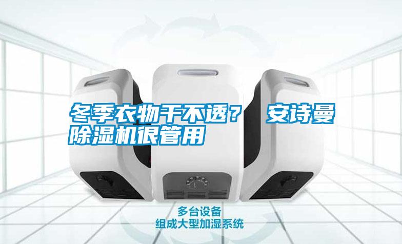 冬季衣物干不透？ 安詩曼除濕機很管用