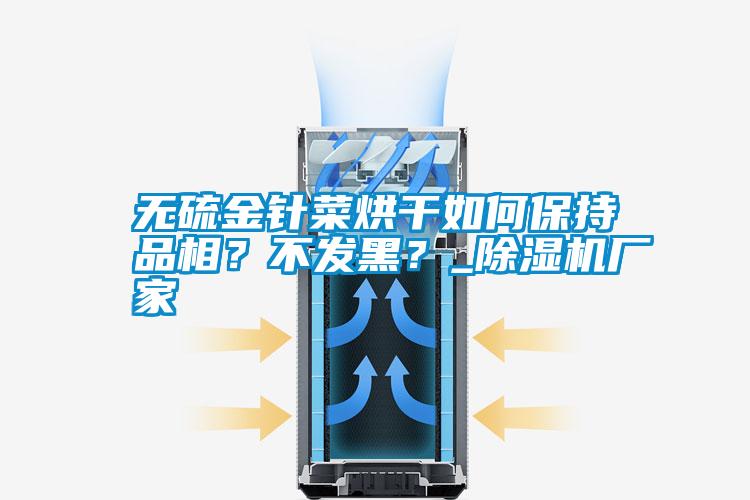無硫金針菜烘干如何保持品相？不發(fā)黑？_除濕機廠家