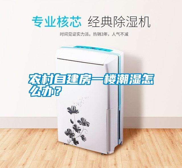 農(nóng)村自建房一樓潮濕怎么辦？