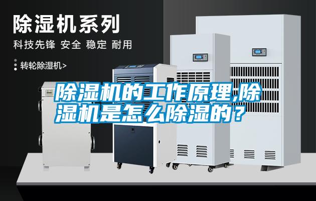 除濕機的工作原理,除濕機是怎么除濕的？