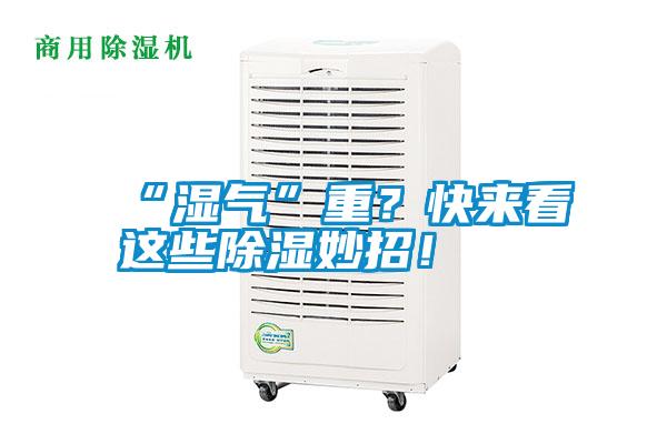 “濕氣”重？快來看這些除濕妙招！