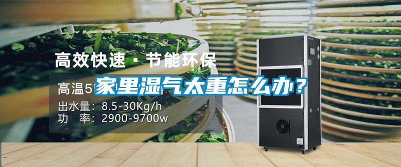 家里濕氣太重怎么辦？