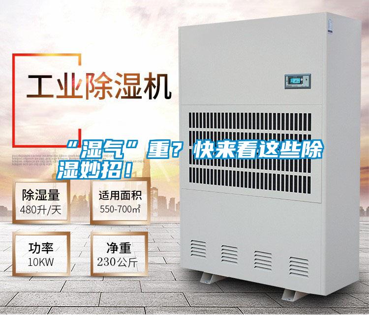 “濕氣”重？快來看這些除濕妙招！