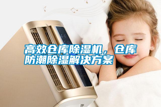 高效倉(cāng)庫除濕機(jī)，倉(cāng)庫防潮除濕解決方案