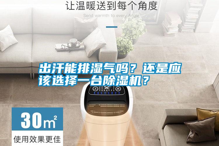 出汗能排濕氣嗎？還是應(yīng)該選擇一臺(tái)除濕機(jī)？