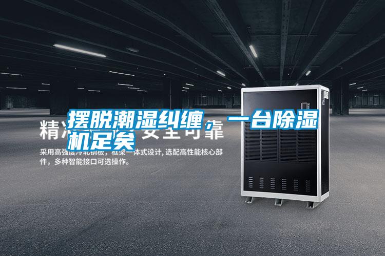 擺脫潮濕糾纏，一臺(tái)除濕機(jī)足矣