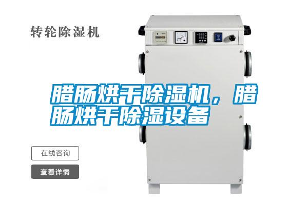 臘腸烘干除濕機，臘腸烘干除濕設備